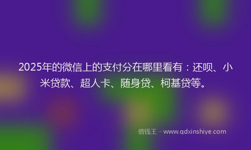 2025年的微信上的支付分在哪里看有：还呗、小米贷款、超人卡、随身贷、柯基贷等。