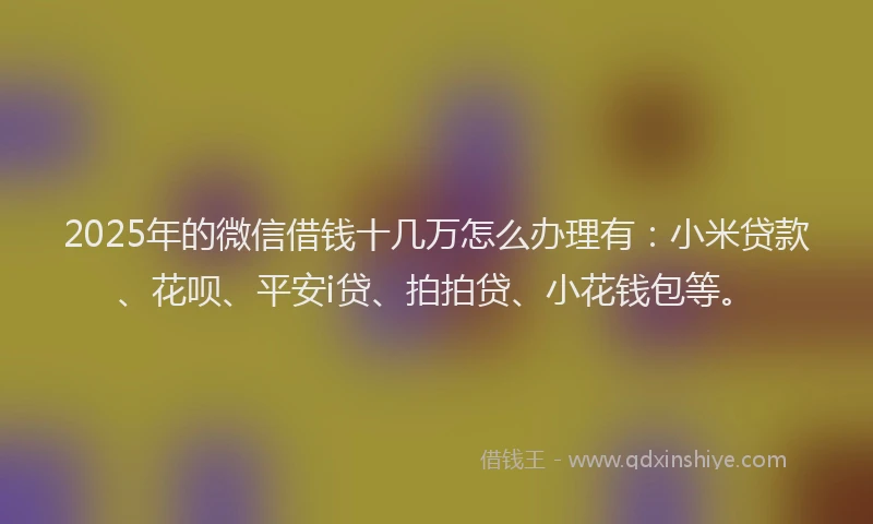 2025年的微信借钱十几万怎么办理有：小米贷款、花呗、平安i贷、拍拍贷、小花钱包等。