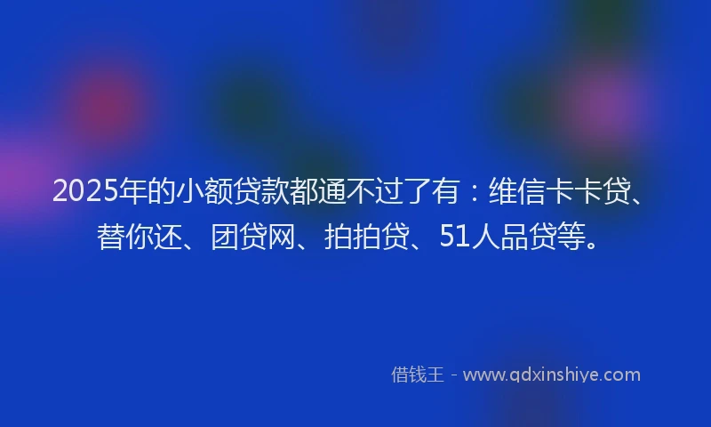 2025年的小额贷款都通不过了有：维信卡卡贷、替你还、团贷网、拍拍贷、51人品贷等。