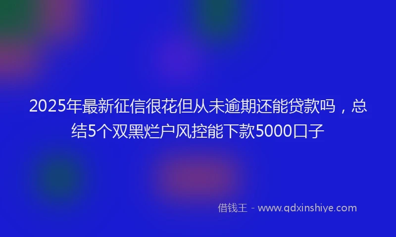 2025年最新征信很花但从未逾期还能贷款吗，总结5个双黑烂户风控能下款5000口子