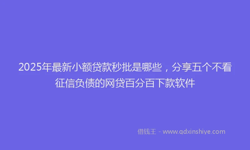 2025年最新小额贷款秒批是哪些，分享五个不看征信负债的网贷百分百下款软件