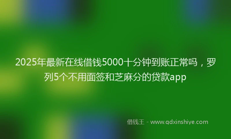 2025年最新在线借钱5000十分钟到账正常吗，罗列5个不用面签和芝麻分的贷款app