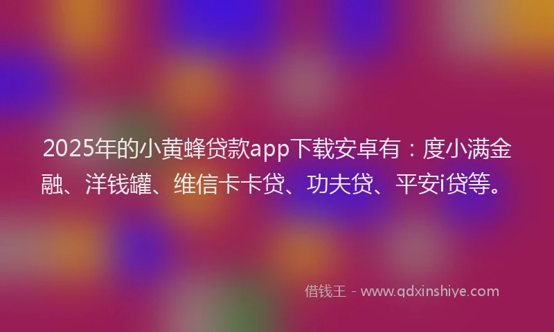 2025年的小黄蜂贷款app下载安卓有：度小满金融、洋钱罐、维信卡卡贷、功夫贷、平安i贷等。