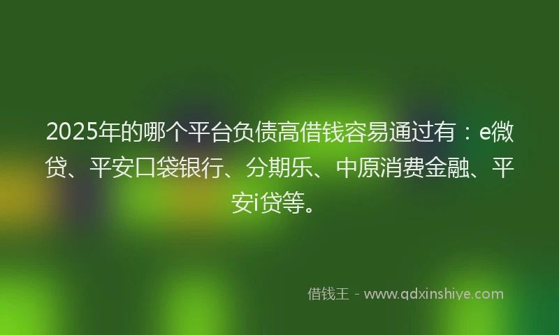 2025年的哪个平台负债高借钱容易通过有：e微贷、平安口袋银行、分期乐、中原消费金融、平安i贷等。