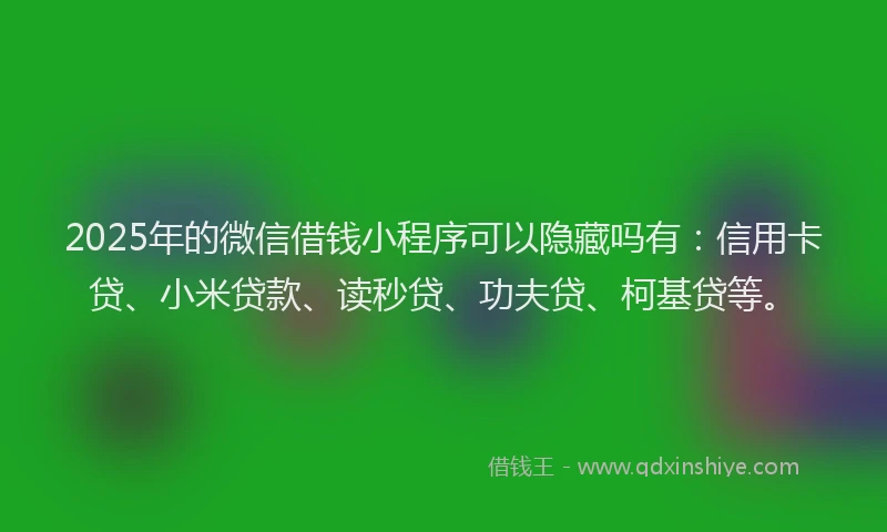 2025年的微信借钱小程序可以隐藏吗有：信用卡贷、小米贷款、读秒贷、功夫贷、柯基贷等。