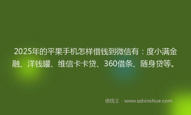 2025年的平果手机怎样借钱到微信有：度小满金融、洋钱罐、维信卡卡贷、360借条、随身贷等。