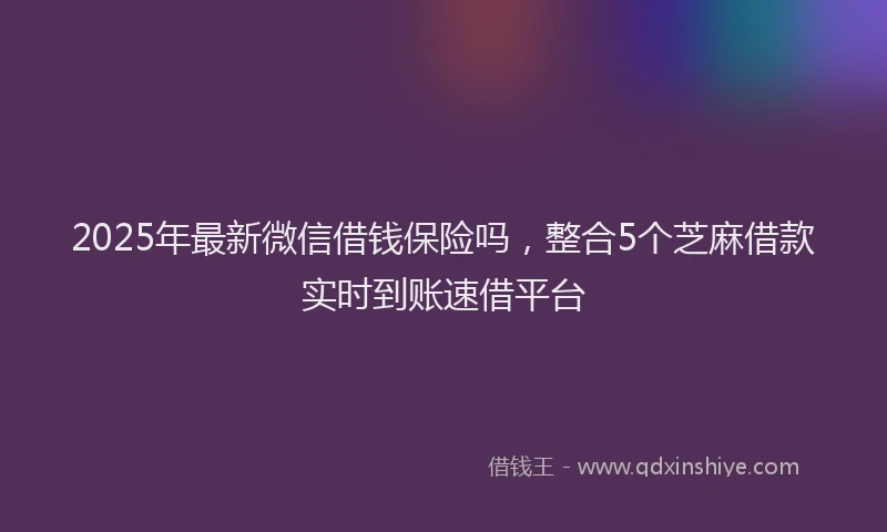 2025年最新微信借钱保险吗，整合5个芝麻借款实时到账速借平台