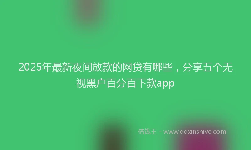 2025年最新夜间放款的网贷有哪些，分享五个无视黑户百分百下款app