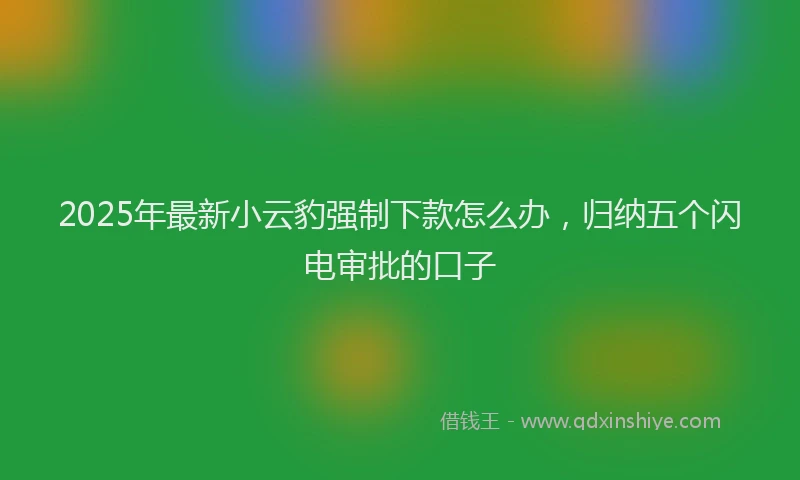 2025年最新小云豹强制下款怎么办，归纳五个闪电审批的口子