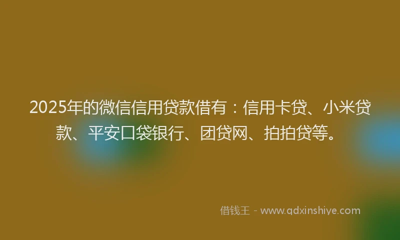 2025年的微信信用贷款借有：信用卡贷、小米贷款、平安口袋银行、团贷网、拍拍贷等。