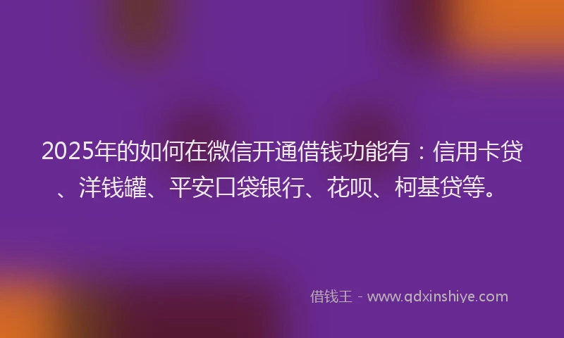 2025年的如何在微信开通借钱功能有：信用卡贷、洋钱罐、平安口袋银行、花呗、柯基贷等。