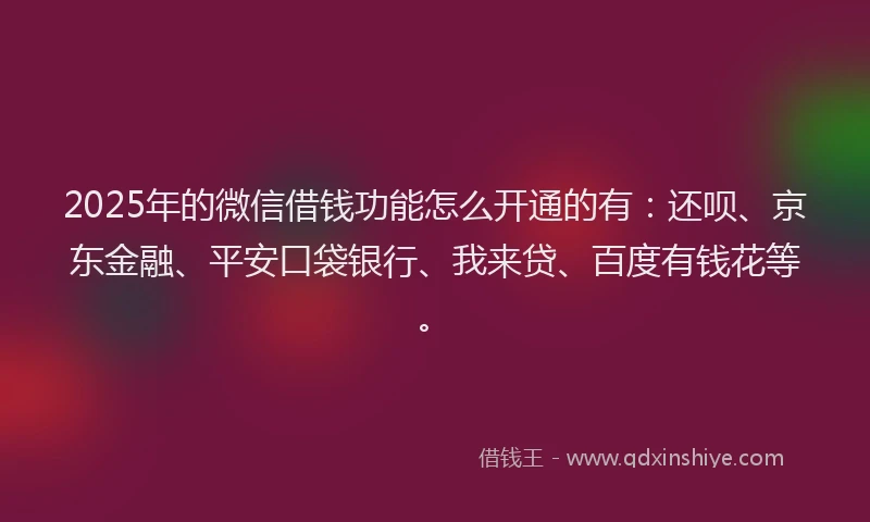 2025年的微信借钱功能怎么开通的有：还呗、京东金融、平安口袋银行、我来贷、百度有钱花等。