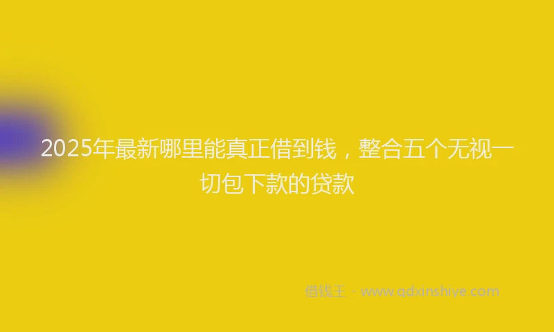 2025年最新哪里能真正借到钱，整合五个无视一切包下款的贷款