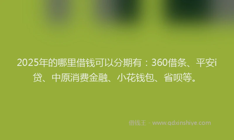2025年的哪里借钱可以分期有：360借条、平安i贷、中原消费金融、小花钱包、省呗等。