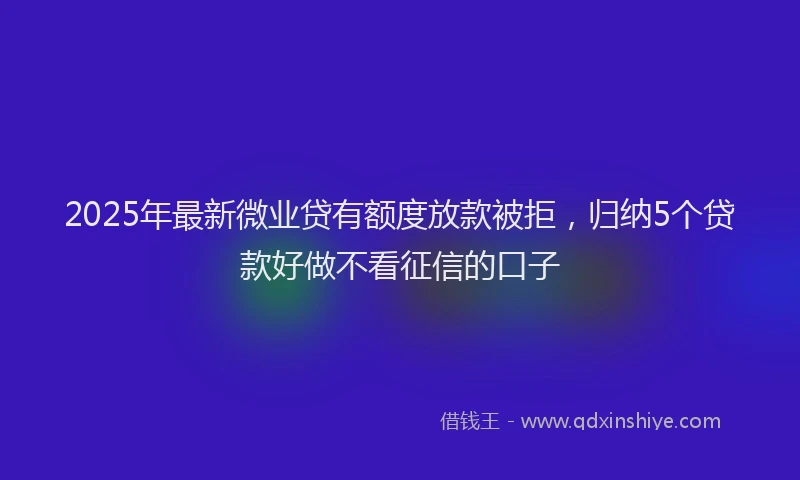 2025年最新微业贷有额度放款被拒，归纳5个贷款好做不看征信的口子