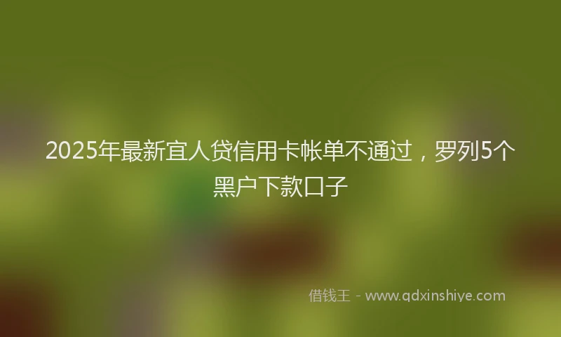 2025年最新宜人贷信用卡帐单不通过，罗列5个黑户下款口子