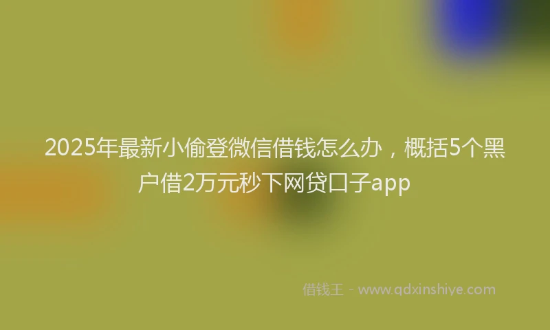 2025年最新小偷登微信借钱怎么办，概括5个黑户借2万元秒下网贷口子app