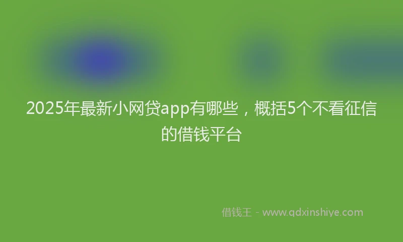 2025年最新小网贷app有哪些，概括5个不看征信的借钱平台