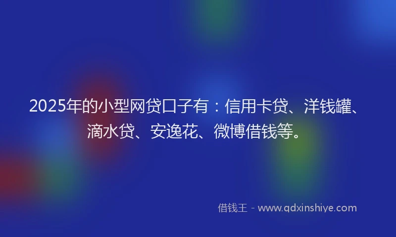 2025年的小型网贷口子有：信用卡贷、洋钱罐、滴水贷、安逸花、微博借钱等。