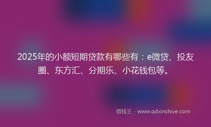 2025年的小额短期贷款有哪些有：e微贷、投友圈、东方汇、分期乐、小花钱包等。