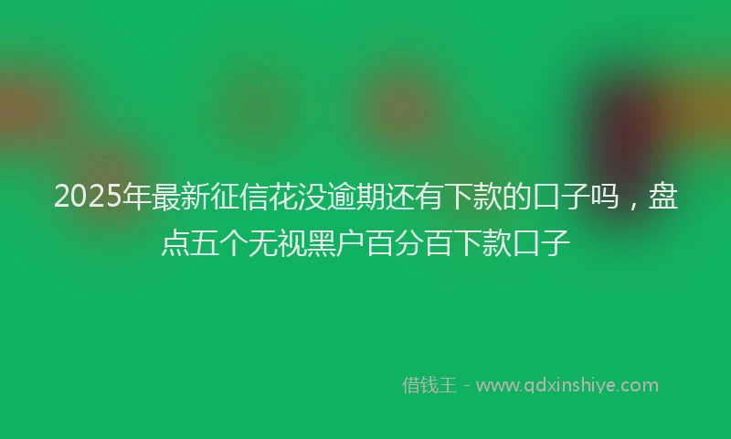 2025年最新征信花没逾期还有下款的口子吗，盘点五个无视黑户百分百下款口子