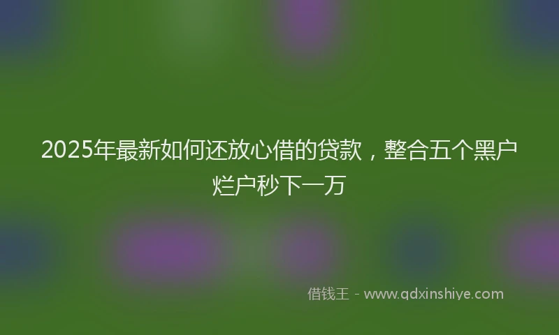 2025年最新如何还放心借的贷款，整合五个黑户烂户秒下一万