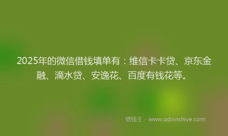 2025年的微信借钱填单有：维信卡卡贷、京东金融、滴水贷、安逸花、百度有钱花等。