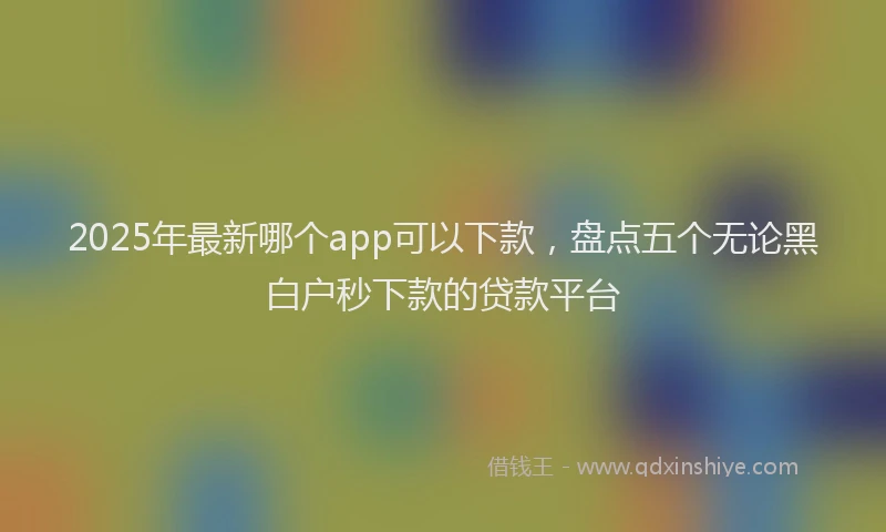 2025年最新哪个app可以下款，盘点五个无论黑白户秒下款的贷款平台