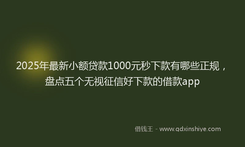 2025年最新小额贷款1000元秒下款有哪些正规，盘点五个无视征信好下款的借款app