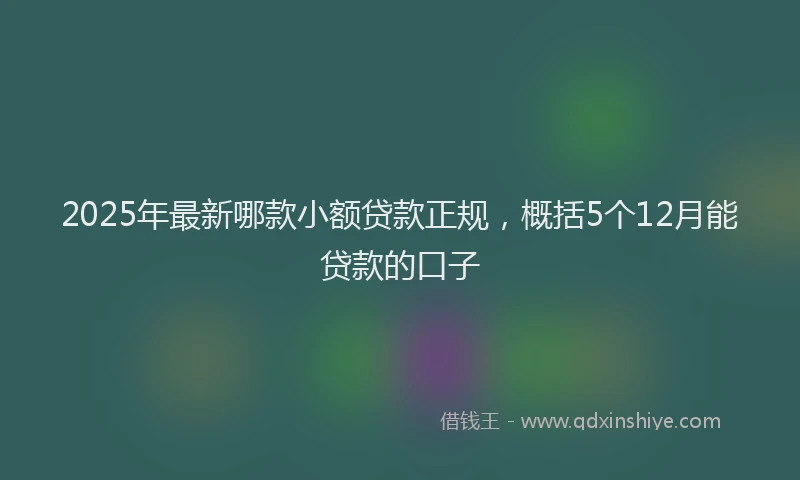 2025年最新哪款小额贷款正规，概括5个12月能贷款的口子