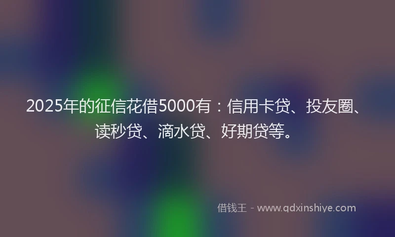2025年的征信花借5000有：信用卡贷、投友圈、读秒贷、滴水贷、好期贷等。
