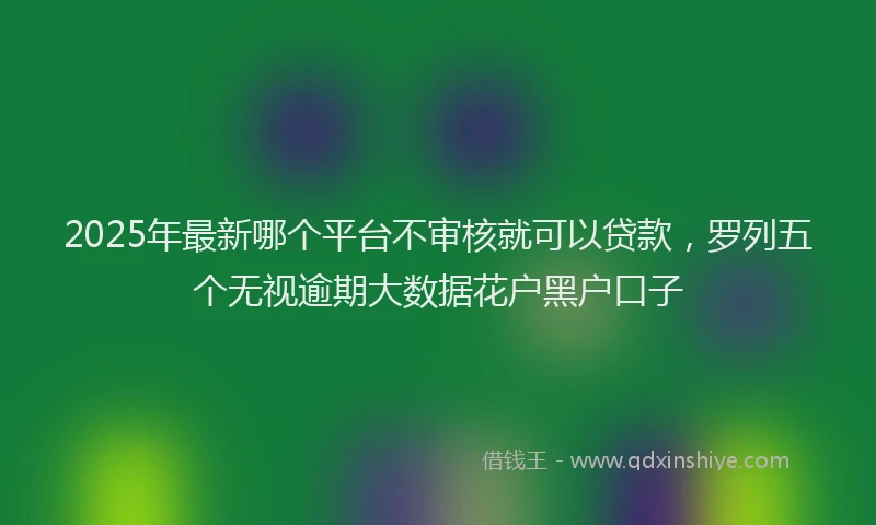 2025年最新哪个平台不审核就可以贷款，罗列五个无视逾期大数据花户黑户口子