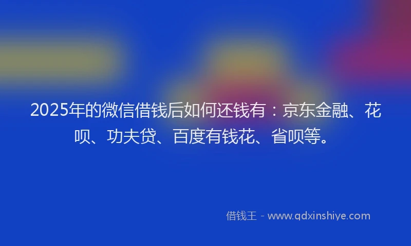 2025年的微信借钱后如何还钱有：京东金融、花呗、功夫贷、百度有钱花、省呗等。