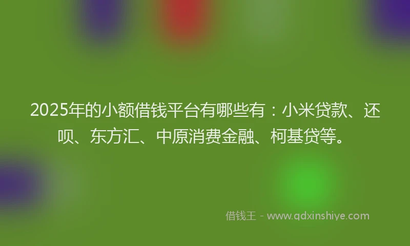 2025年的小额借钱平台有哪些有：小米贷款、还呗、东方汇、中原消费金融、柯基贷等。
