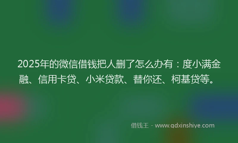 2025年的微信借钱把人删了怎么办有：度小满金融、信用卡贷、小米贷款、替你还、柯基贷等。