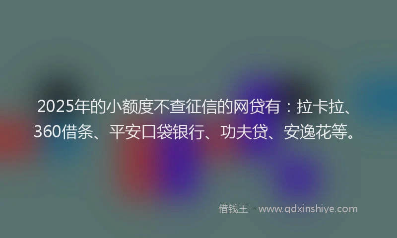 2025年的小额度不查征信的网贷有：拉卡拉、360借条、平安口袋银行、功夫贷、安逸花等。