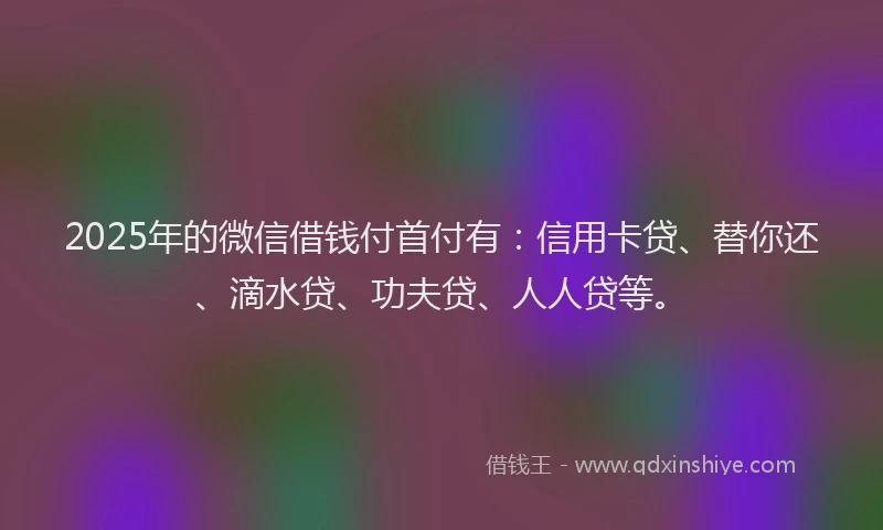2025年的微信借钱付首付有:信用卡贷、替你还、滴水贷、功夫贷、人人贷等。