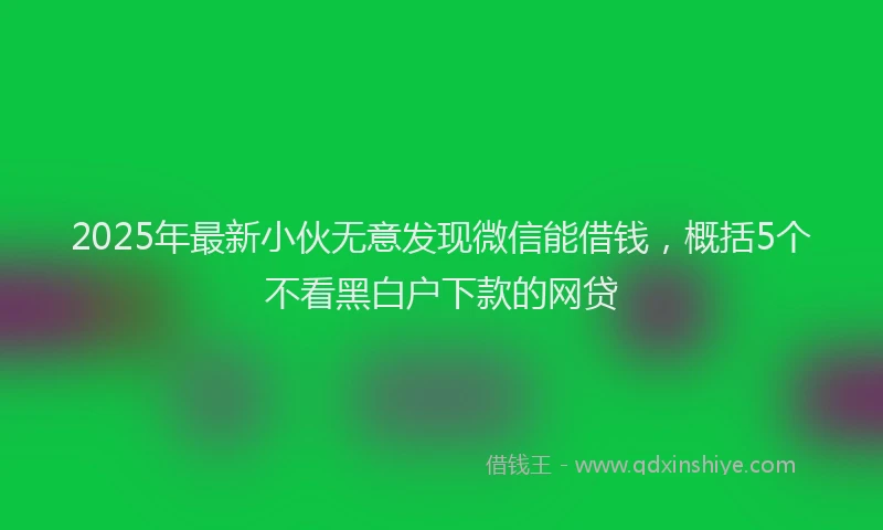 2025年最新小伙无意发现微信能借钱，概括5个不看黑白户下款的网贷