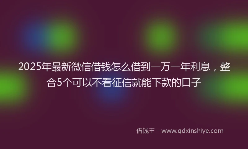 2025年最新微信借钱怎么借到一万一年利息，整合5个可以不看征信就能下款的口子