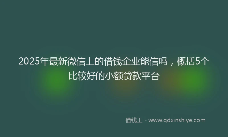 2025年最新微信上的借钱企业能信吗，概括5个比较好的小额贷款平台