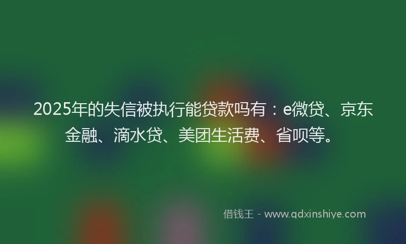 2025年的失信被执行能贷款吗有：e微贷、京东金融、滴水贷、美团生活费、省呗等。