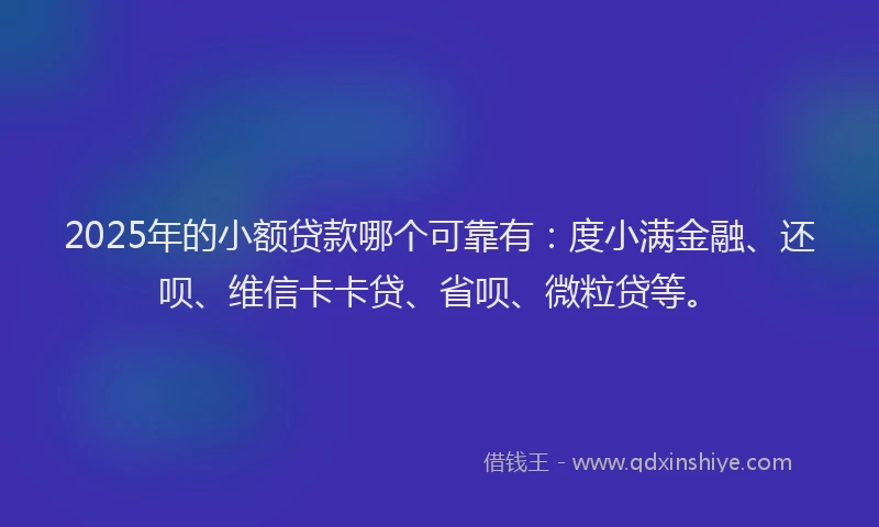 2025年的小额贷款哪个可靠有：度小满金融、还呗、维信卡卡贷、省呗、微粒贷等。