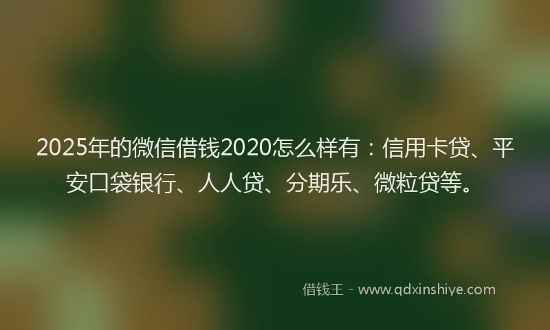 2025年的微信借钱2020怎么样有：信用卡贷、平安口袋银行、人人贷、分期乐、微粒贷等。