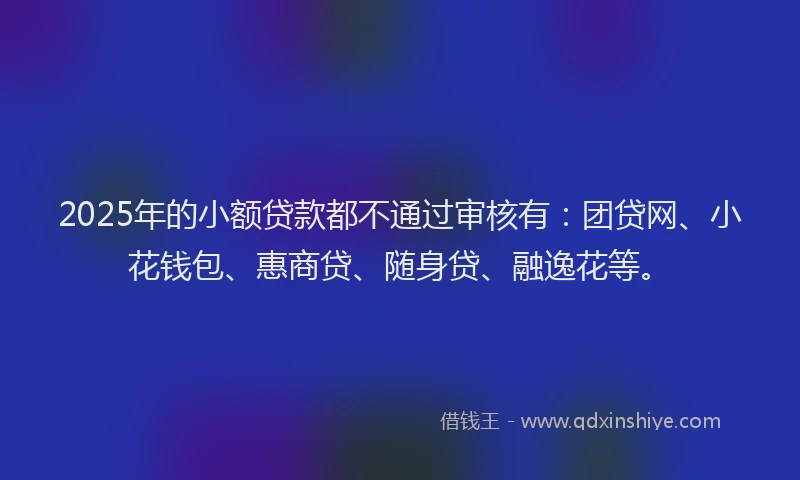 2025年的小额贷款都不通过审核有：团贷网、小花钱包、惠商贷、随身贷、融逸花等。