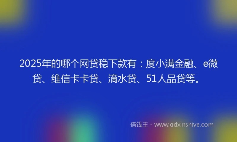 2025年的哪个网贷稳下款有：度小满金融、e微贷、维信卡卡贷、滴水贷、51人品贷等。