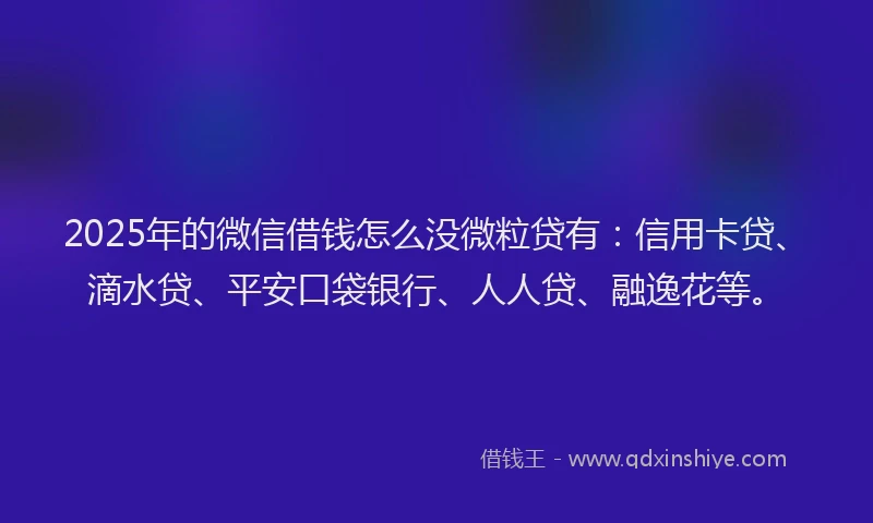2025年的微信借钱怎么没微粒贷有：信用卡贷、滴水贷、平安口袋银行、人人贷、融逸花等。