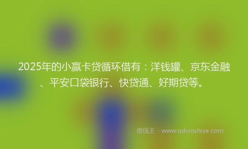 2025年的小赢卡贷循环借有：洋钱罐、京东金融、平安口袋银行、快贷通、好期贷等。