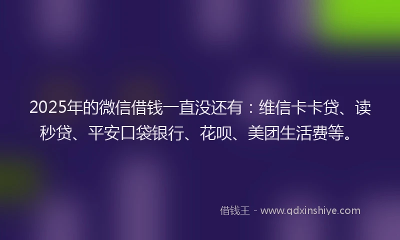 2025年的微信借钱一直没还有：维信卡卡贷、读秒贷、平安口袋银行、花呗、美团生活费等。