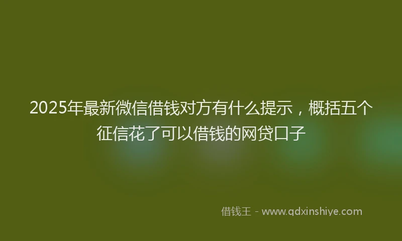 2025年最新微信借钱对方有什么提示，概括五个征信花了可以借钱的网贷口子