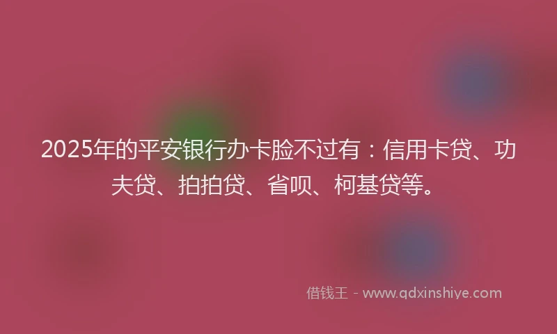 2025年的平安银行办卡脸不过有：信用卡贷、功夫贷、拍拍贷、省呗、柯基贷等。